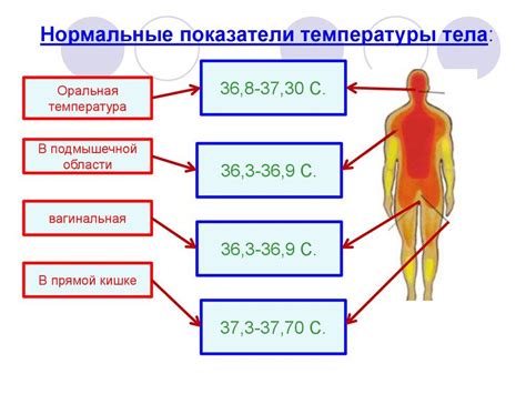 Повышенная температура: вред или польза
