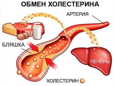 Повышенное содержание карциногенов в организме