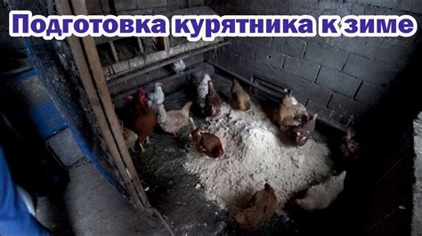 Подготовка к чистке курятника