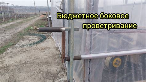 Поддержание чистоты и проветривание теплицы для предотвращения грибковых заболеваний