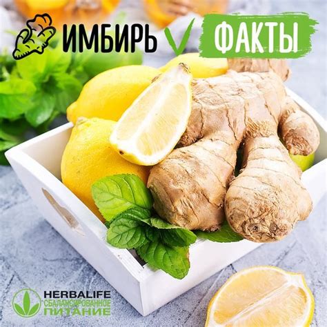 Полезные свойства имбиря: