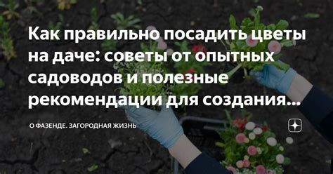 Полезные советы и рекомендации от мастера