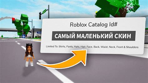 Полезные советы по отключению анимации в Роблокс