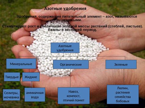 Полезные советы по применению удобрения