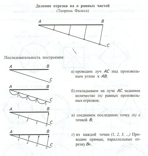Полезные советы при делении отрезка