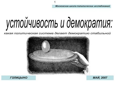 Политическая устойчивость