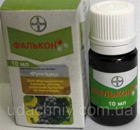 Полное руководство по применению турецкого коллагена
