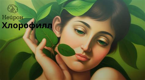 Польза для кожи: