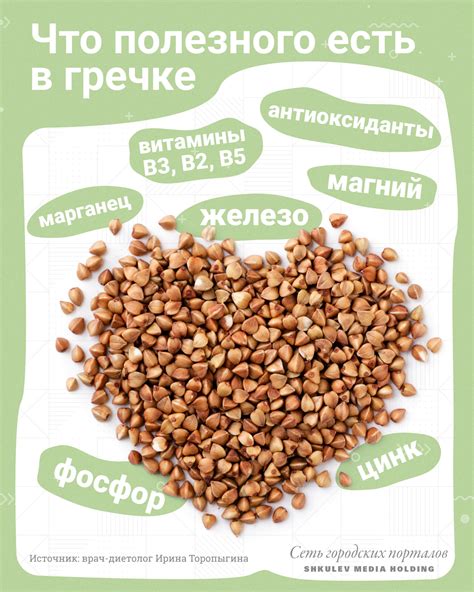 Польза целлобиозы для здоровья