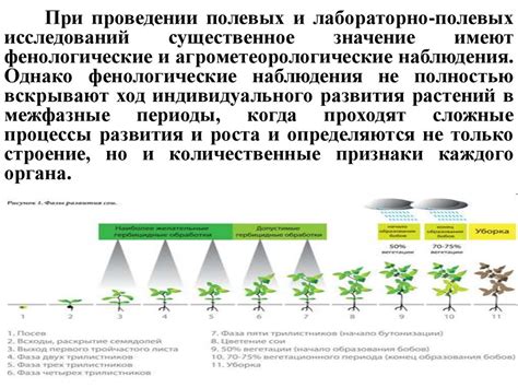 Понятие и значение полевых исследований