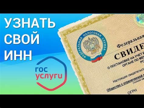 Почему ИНН не найден в ФНС