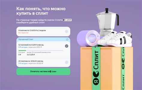 Почему оплата бонусами выгодна для клиентов Петшопа