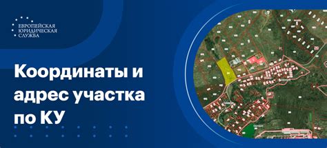 По кадастровому номеру - основные правила