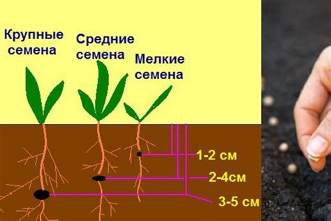 Правильная глубина поиска