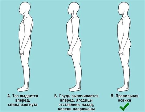 Правильная осанка и растяжка