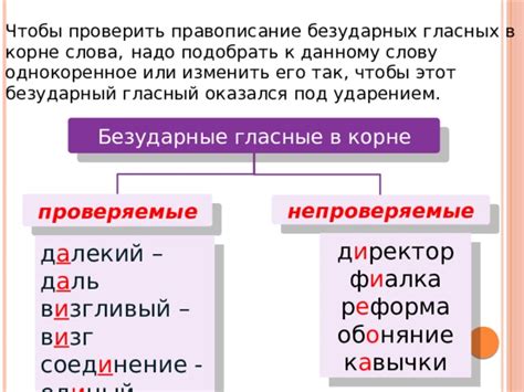 Правильное написание слова возражение