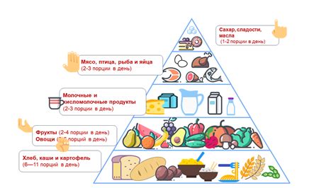 Правильное питание и рацион кормления