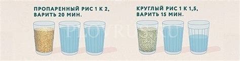 Правильное соотношение жидкости и сырья