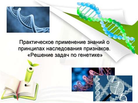 Практическое применение знаний