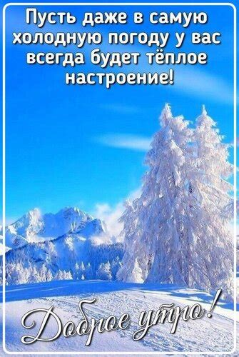 Предпочтение в холодную погоду