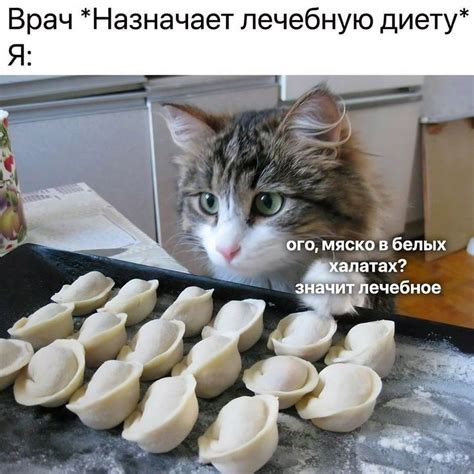 Привлекают еду и влагу