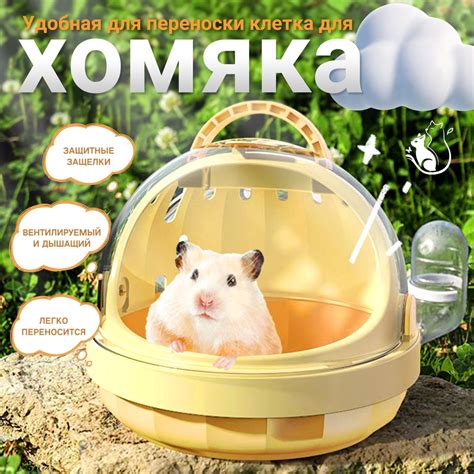 Приготовление каши для хомяка