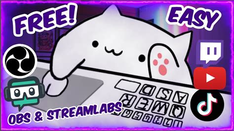 Приготовления к настройке Bongo Cat Cam