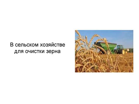 Применение перегнившего зерна в сельском хозяйстве