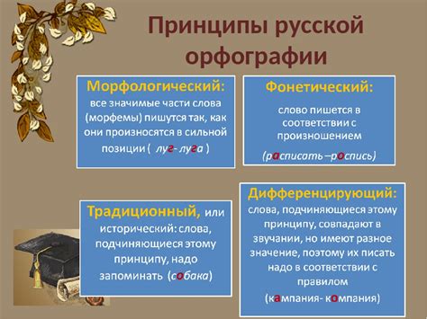 Принципы орфографии