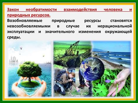 Принципы уважения к природе