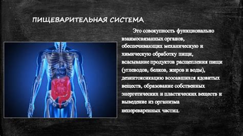 Принципы функционирования системы