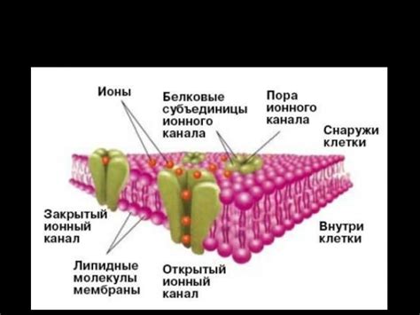 Принцип работы группы селективности