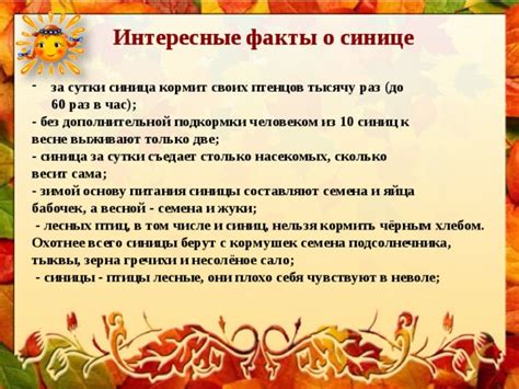 Притчи и поверья о синице в народе