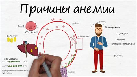 Причины индекса гемолиза