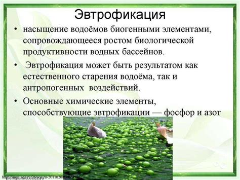 Причины меления стоячих водоемов