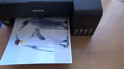Проблема печати полосами на принтере Epson L3150