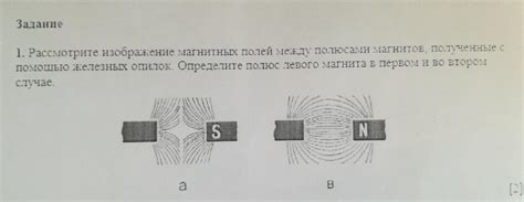 Проведите тест с помощью магнита