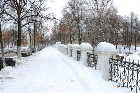 Прогноз по грибам на ближайшие дни