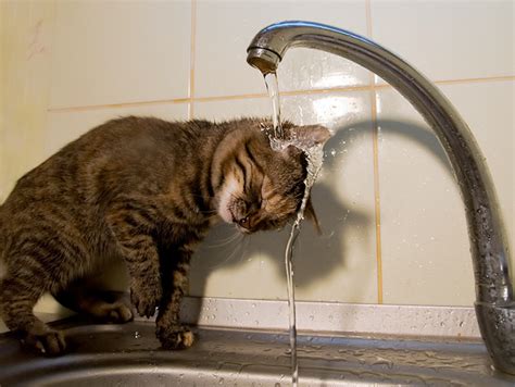 Промывание водой