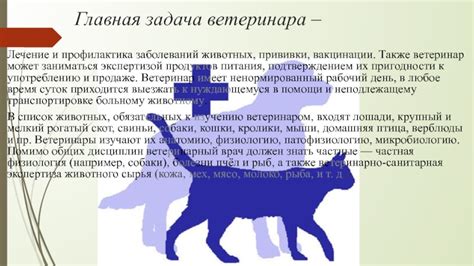 Профилактика раздражений и участие ветеринара