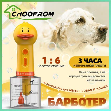 Профилактические меры для предотвращения пены из носа у собак