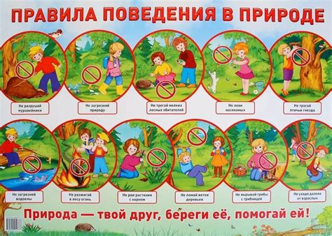 Профилактические меры для сохранения здоровья растения в зимний период