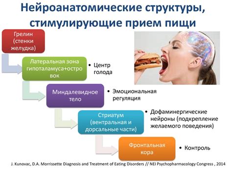 Психологические аспекты женского поведения