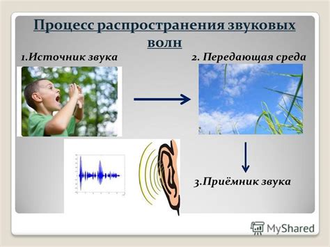 Различные причины появления звука