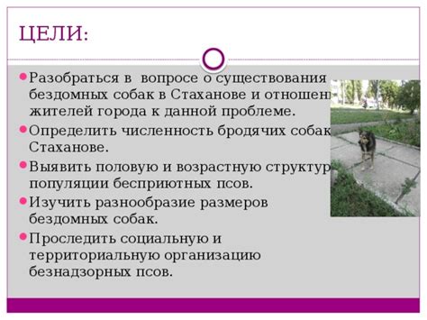 Разобраться в проблеме и выявить причину запутывания