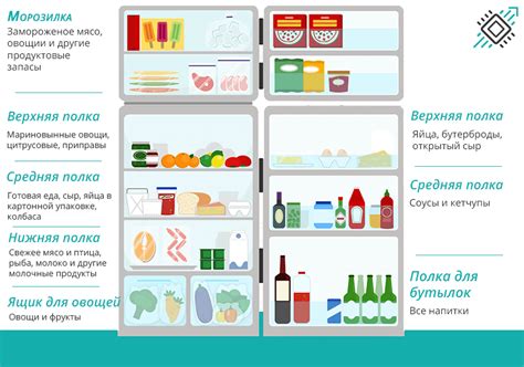 Распределение продуктов в холодильнике