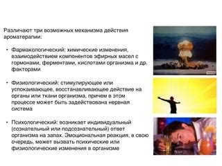 Реакция организма на запах