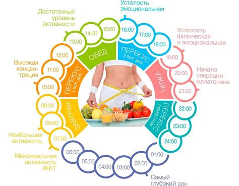 Режим питания и диета