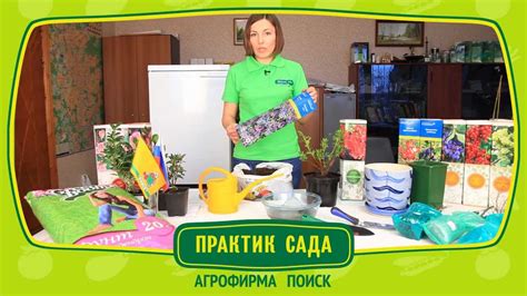 Рекомендации по хранению веников