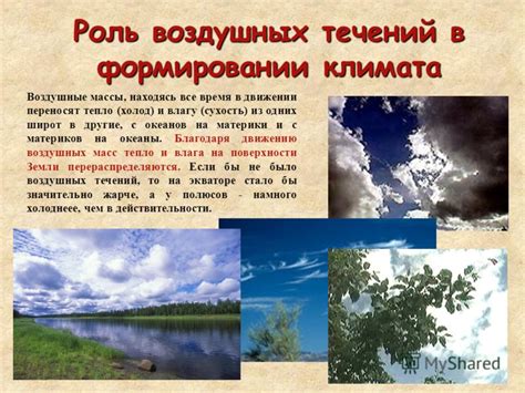 Роль ручьев в формировании ландшафта и климата